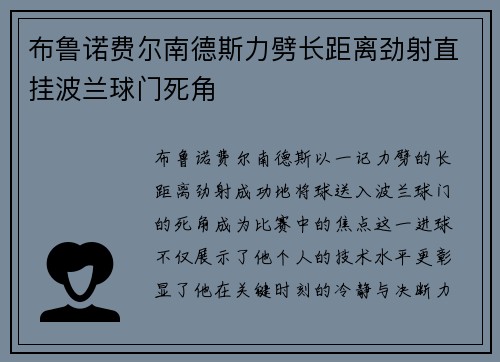 布鲁诺费尔南德斯力劈长距离劲射直挂波兰球门死角